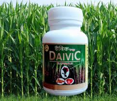 Daivic Capsule