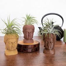 Logo 3D Printed Pots