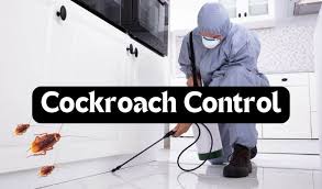 Pest Control Services