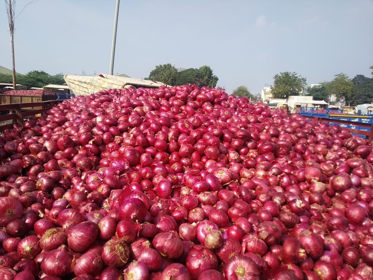Prashant Phursungi (Summer Season)
