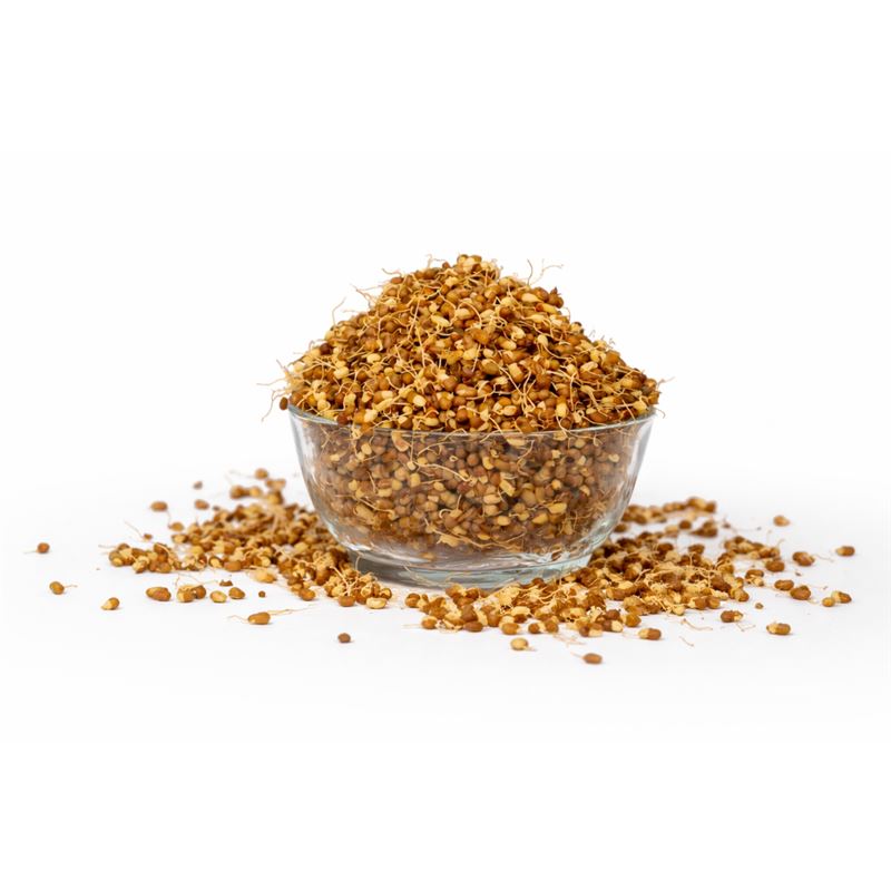 Dehydrated Moth Bean Sprouts