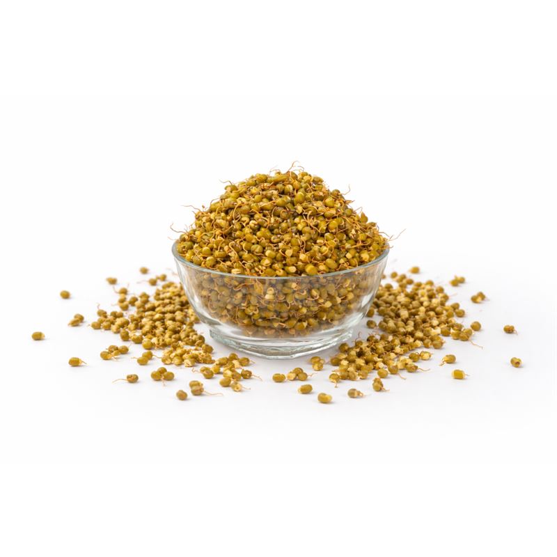 Dehydrated Mung Bean Sprouts