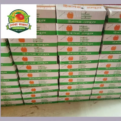 Easy Ordering via Call & WhatsApp — Aamba Samrat